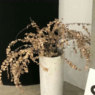 兽设节日场景设计兽圈社群